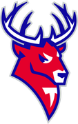 Сайт ХК Торпедо logo